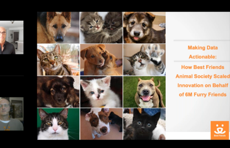 Making Data Actionable: How Best Friends Animal Society Scaled Innovation on Behalf of 6M Furry Friends