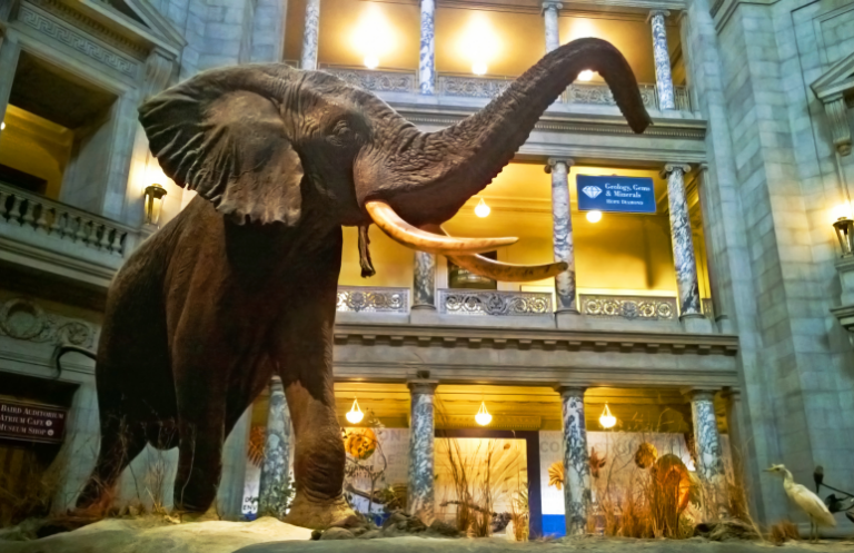Museums Late To Impact Investing Party