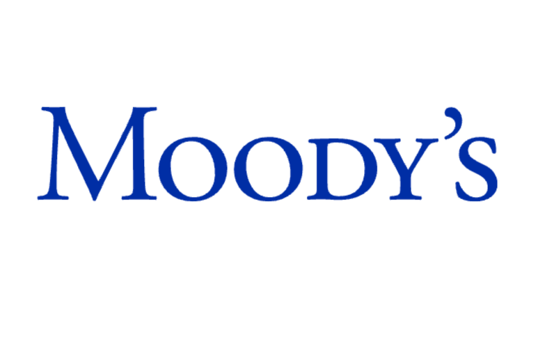 Moody’s Foundation Seeking Strategic Partners